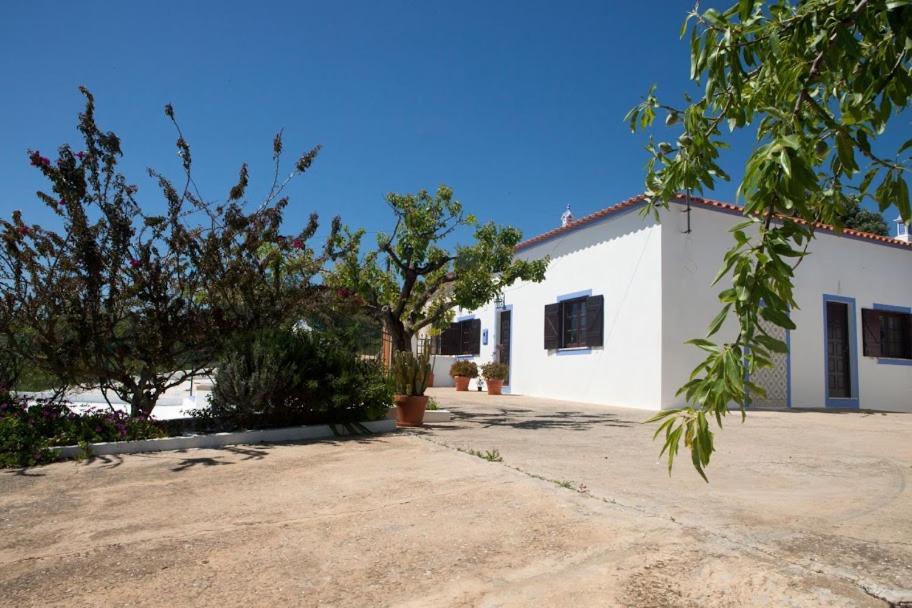 Luxury Villa with Pool in Vineyard Near the Beach — 4-Star Luxury Hotel in Porches, Portugal