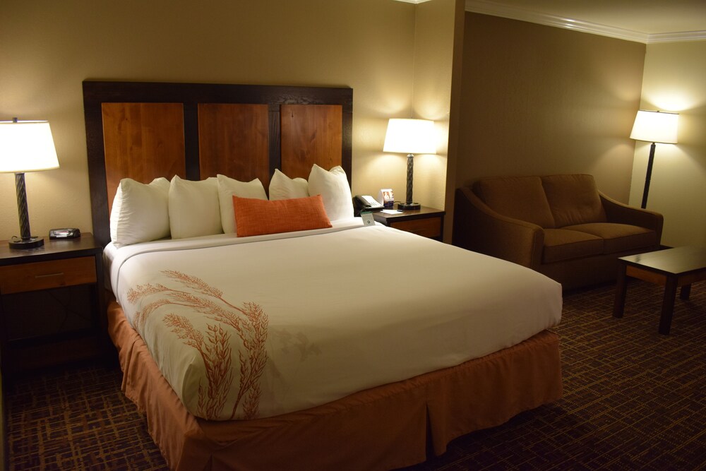 Best Western Wichita North Hotel and Suites - photo 7