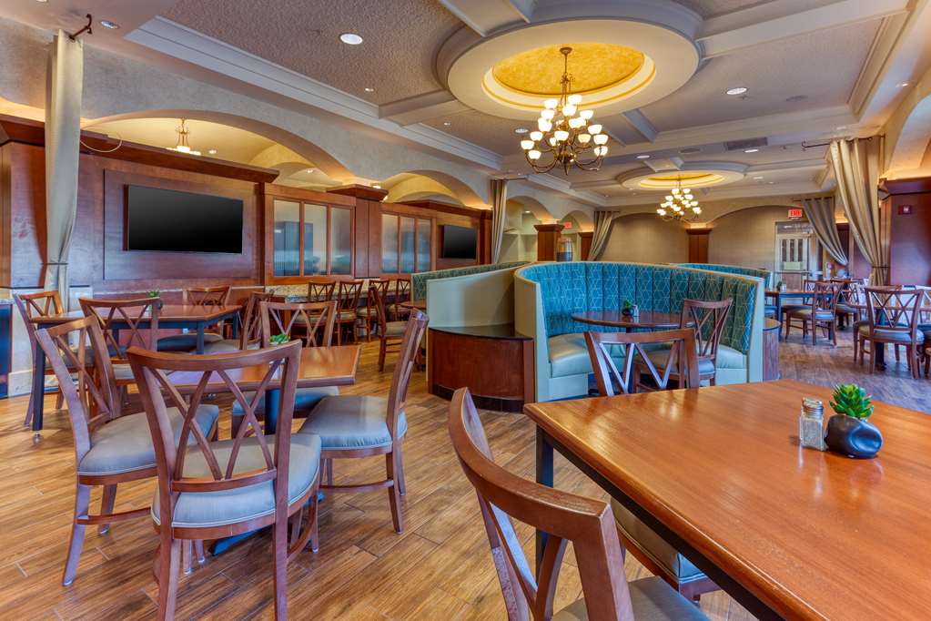 Drury Plaza Hotel St. Louis Chesterfield - photo 9