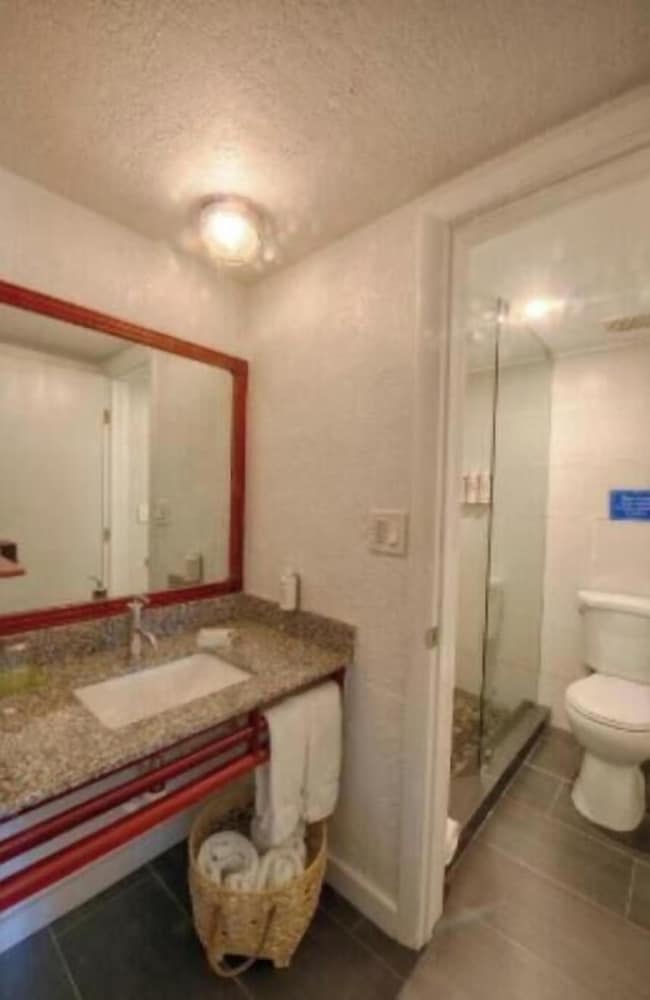 Casa Morada - photo 73