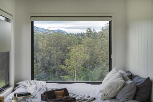 Tiny Nancy — Bellingen