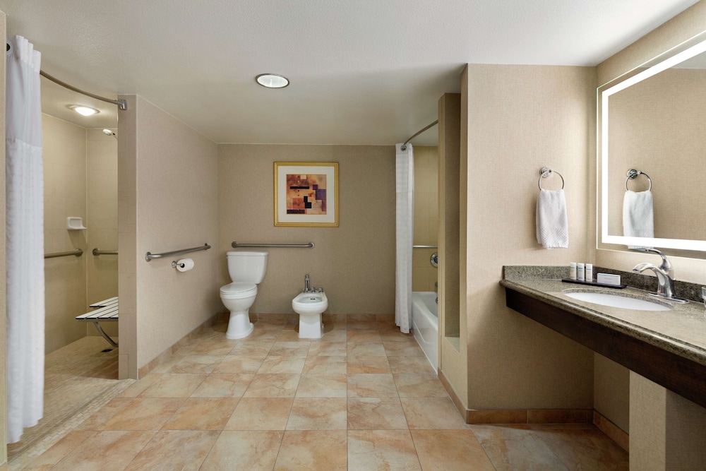 Embassy Suites by Hilton Phoenix Tempe - photo 18
