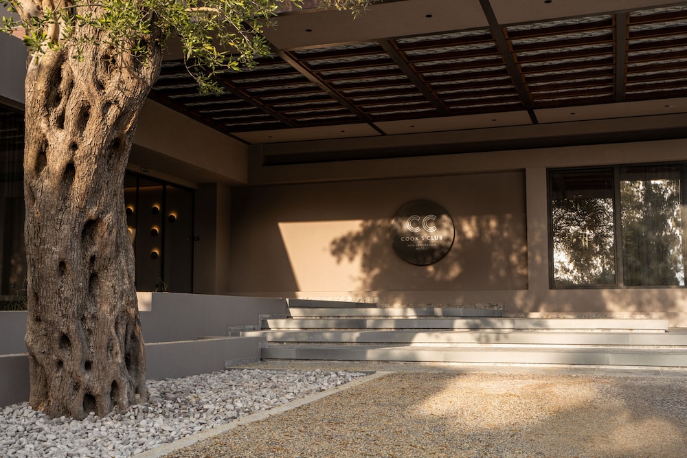 מראה חיצוני