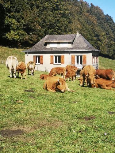 Tourmalet - carbon neutral hotel in Campan
