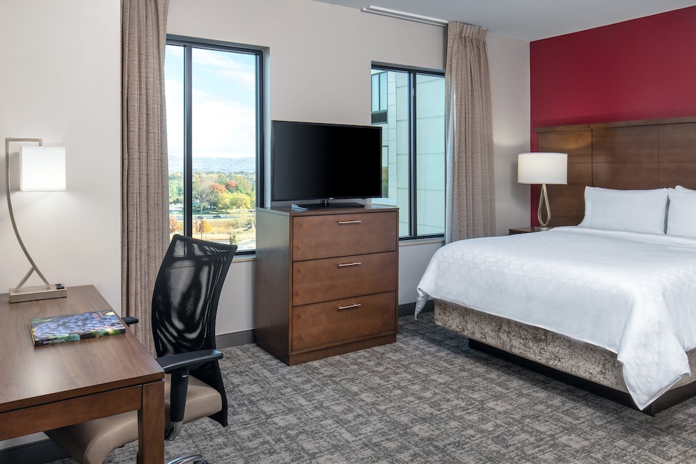Staybridge Suites Charlottesville Airport by IHG - photo 10