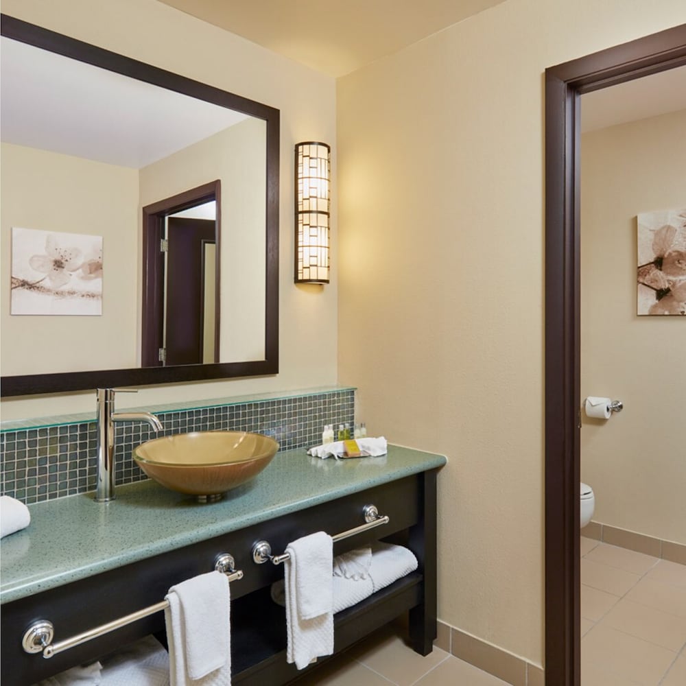 DoubleTree by Hilton Orlando Theme Park Resort - photo 41