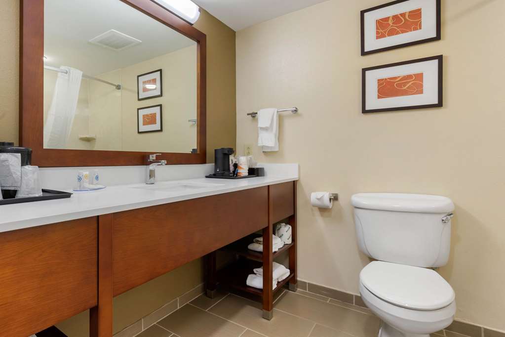 Comfort Inn & Suites Cordele - photo 25