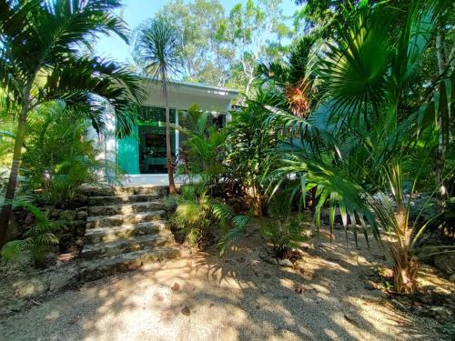 Viila Ixchel jungle pool - last minute hotel in Tulum