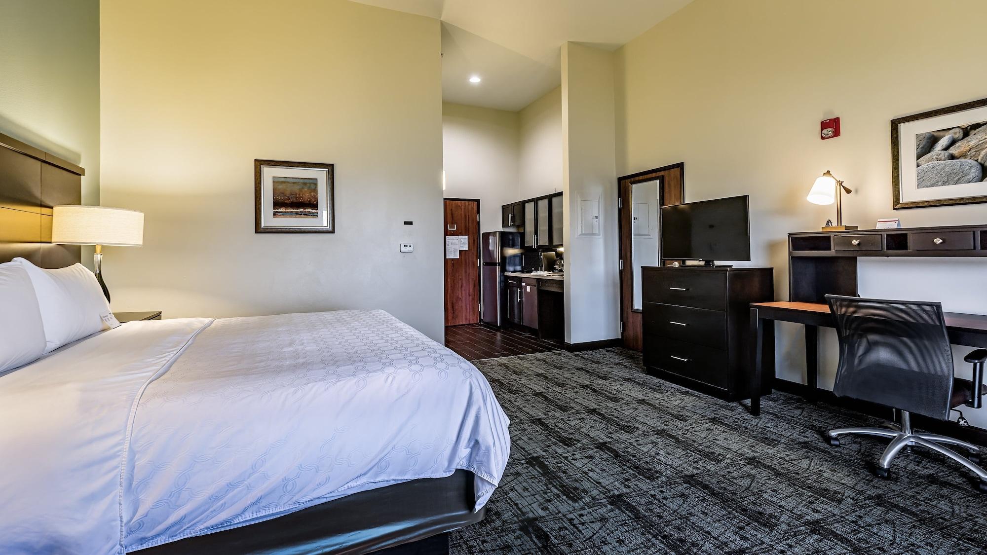 Staybridge Suites Laredo International Airport by IHG - photo 12