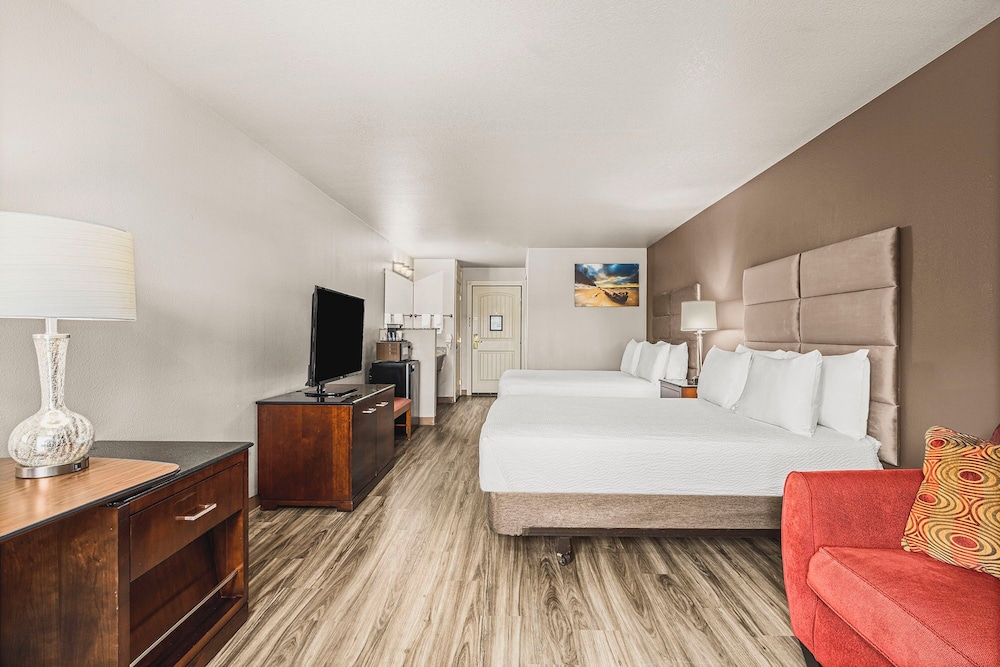 The Ashley Inn & Suites - photo 30