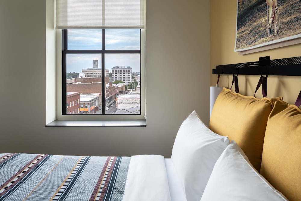 Moxy Springfield Downtown - photo 15