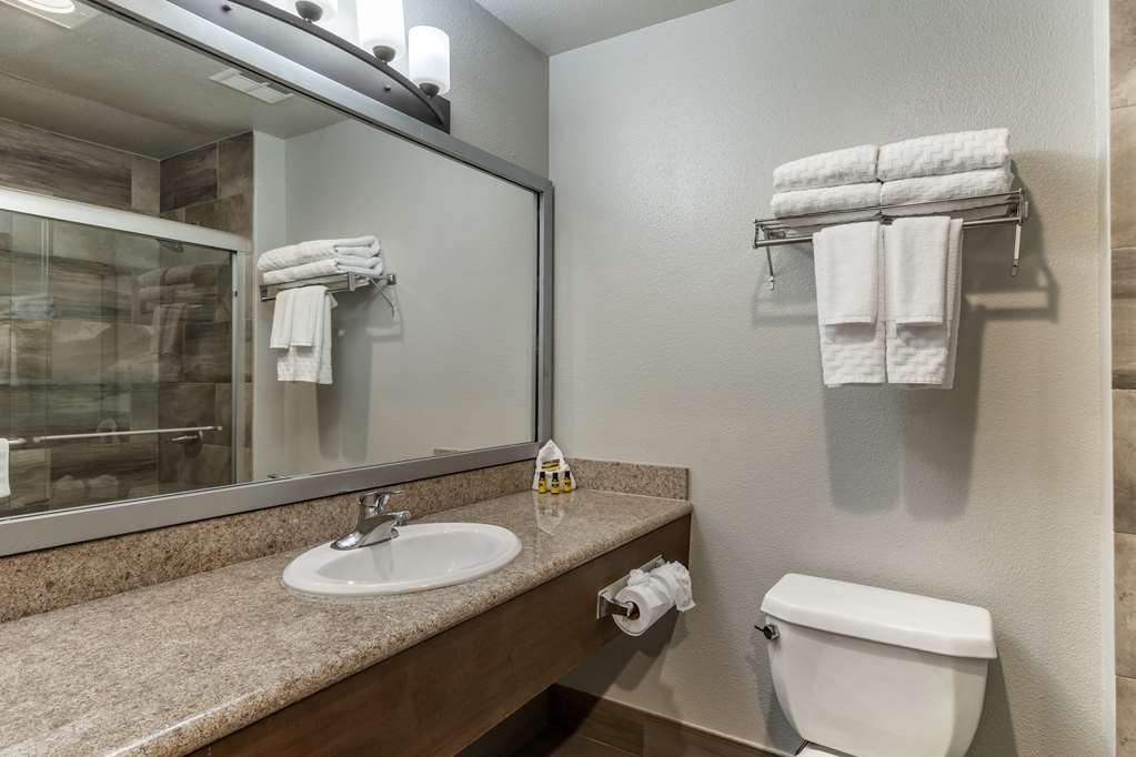 Best Western Plus Vineyard Inn - photo 47