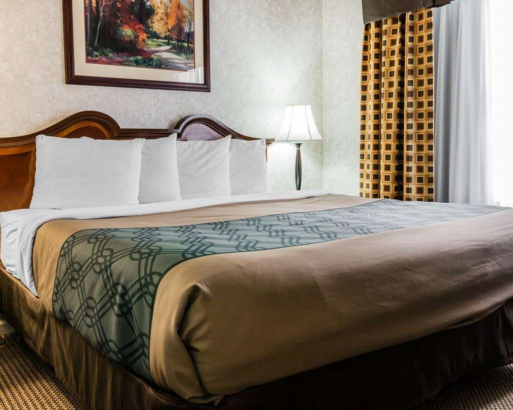 Econo Lodge & Suites Grand Rapids Airport - photo 15