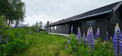 Ti ' Jean - carbon neutral hotel in Saint-Joseph