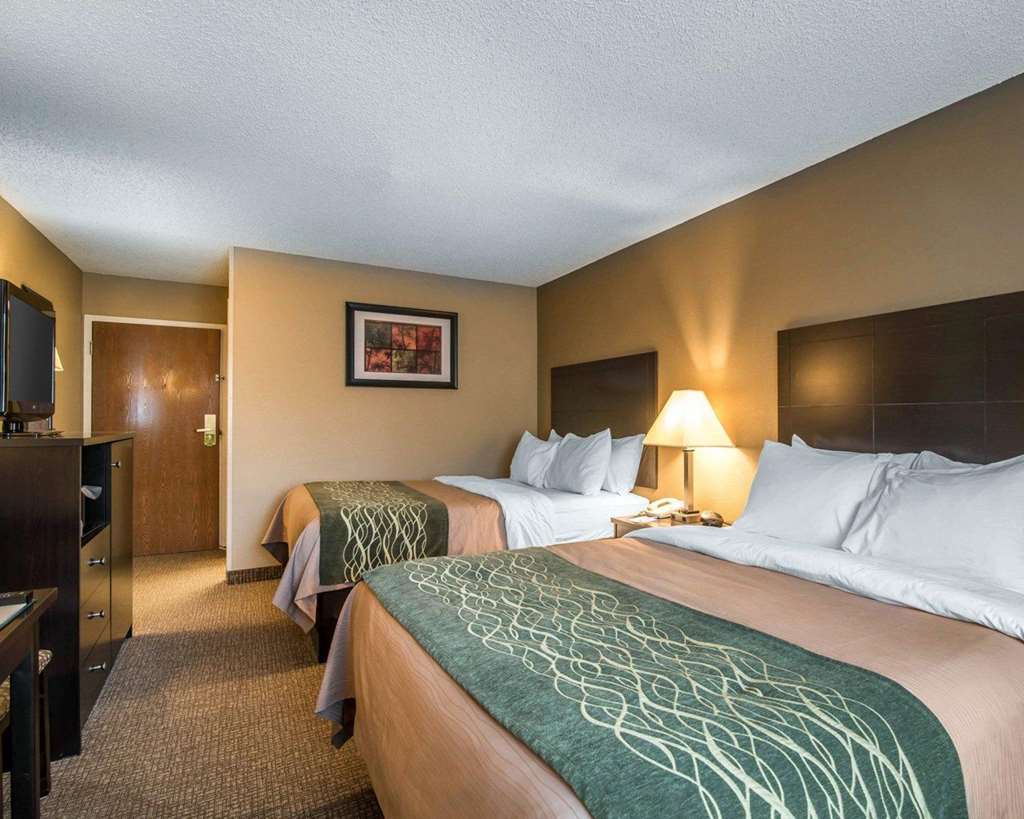 Comfort Inn Saugerties - photo 11