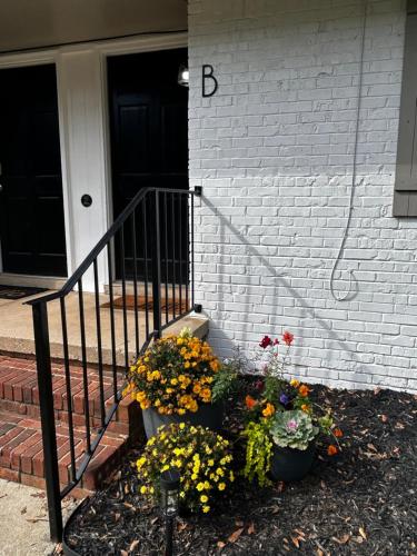 The Bohemian 1 2 Mi From Covington Square — Covington