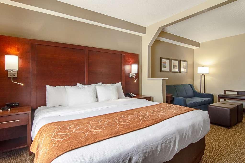 Comfort Suites Knoxville Airport - photo 12