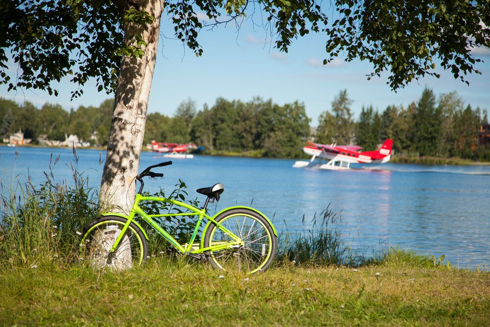 The Lakefront Anchorage - photo 18