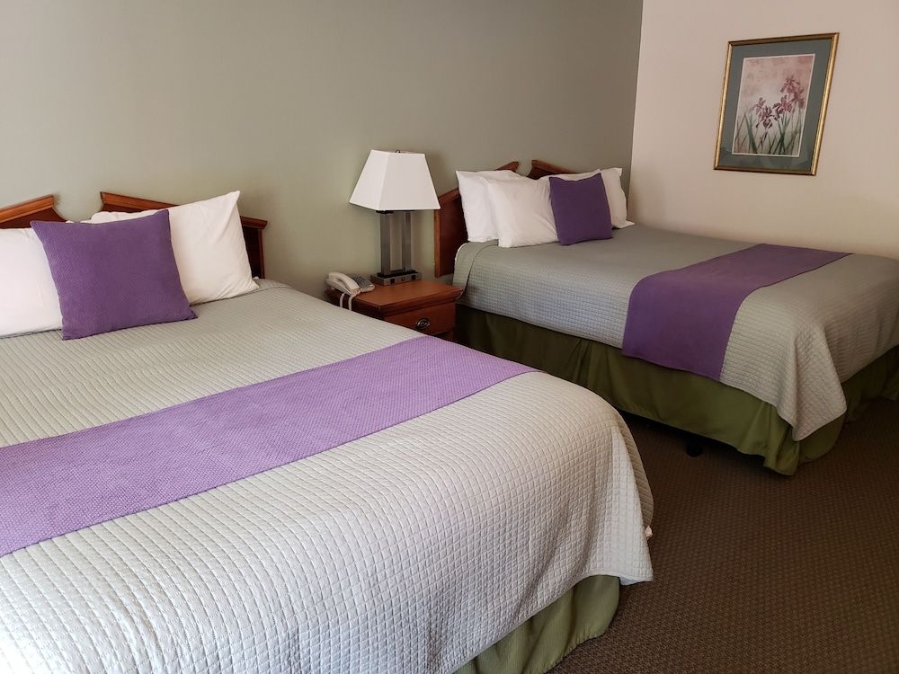Hotsprings Village Inn - photo 18