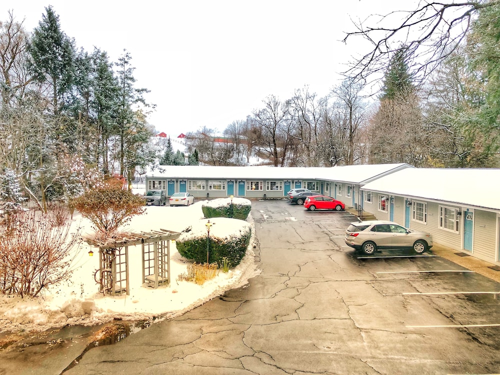 Maple Terrace Motel - photo 102