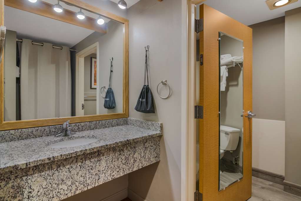 Best Western PLUS Executive Court Inn & Conference Center - photo 54