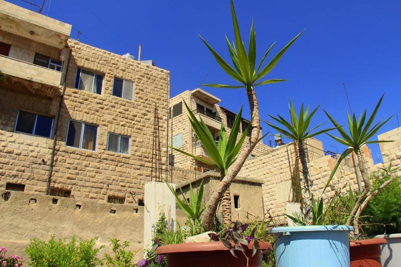 Shurooq Shams Hotel Tours By Sunrise — Amman
