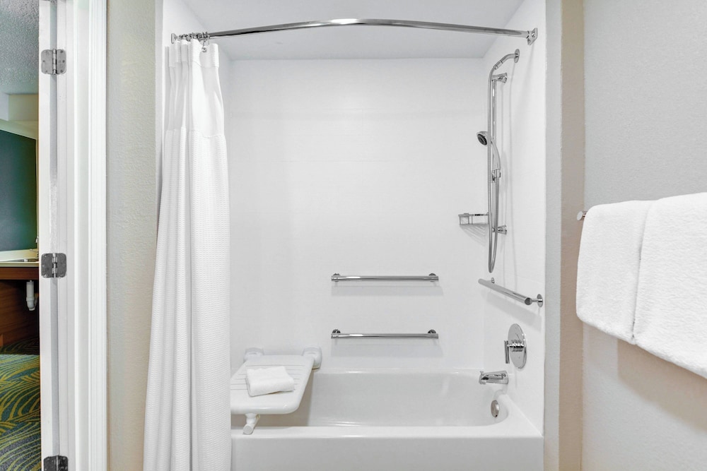 SpringHill Suites by Marriott Jacksonville - photo 16