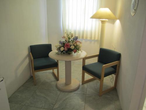 Apollo Resort Motel - photo 4