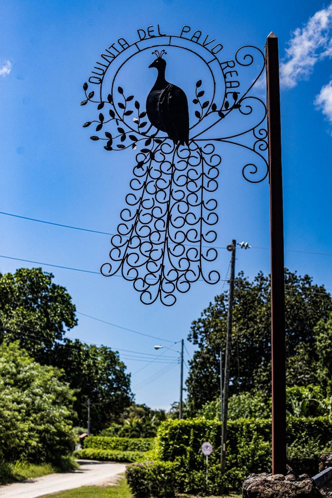 Quinta Pavo Real Complex by Acomodo — San Jose — photo 5