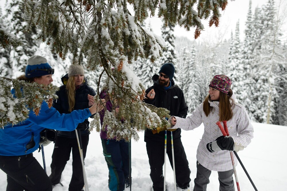 Teewinot Lodge by Grand Targhee Resort - photo 38