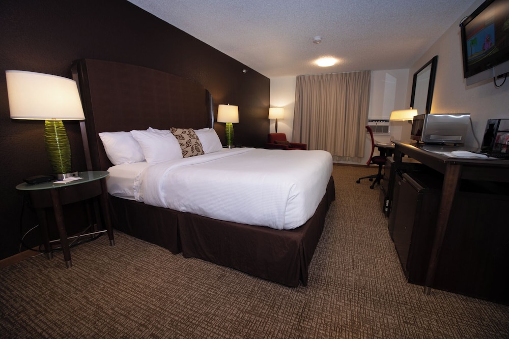 Alliance Hotel & Suites a Howard Johnson by Wyndham - photo 12
