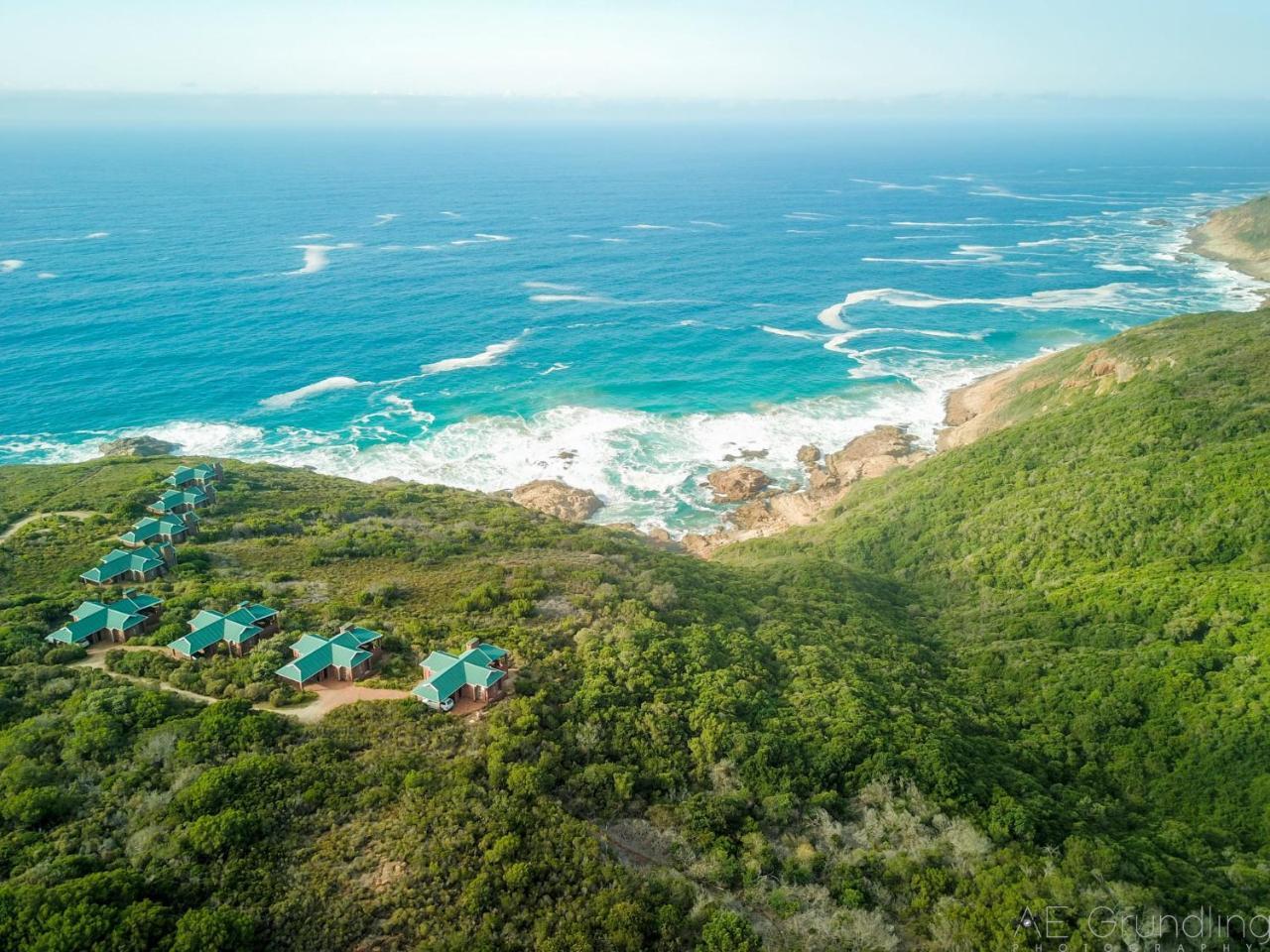 Blue Whale Resort in George, South Africa