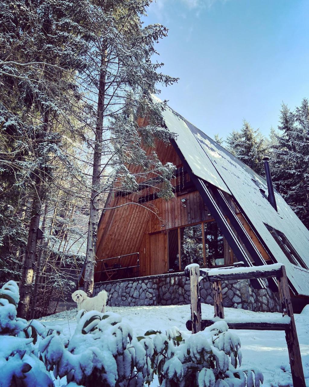Forest House Stella a Frame Cabin — 4-Star Luxury Hotel in Mrkopalj, Croatia