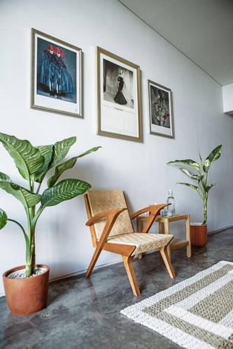 Yats Cocoon — Yogyakarta — photo 4