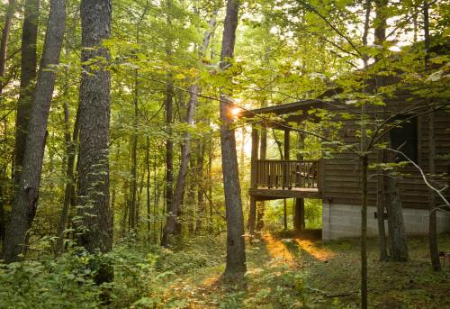 Inn & Spa at Cedar Falls - photo 19