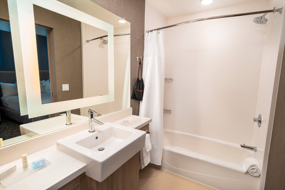 SpringHill Suites by Marriott Newark Fremont - photo 18
