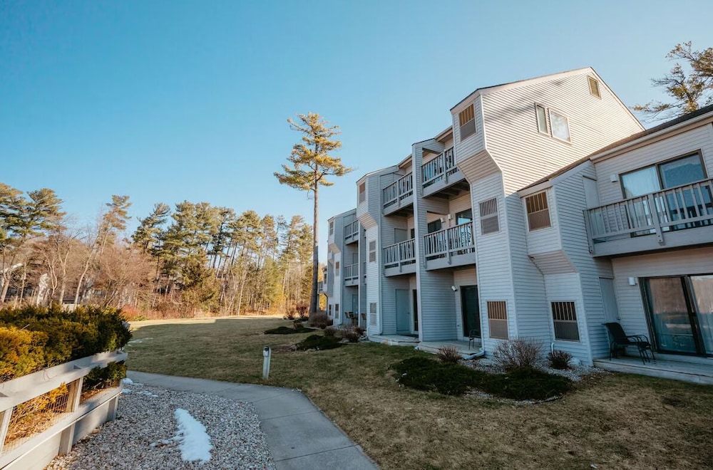The Shores Resort - photo 292
