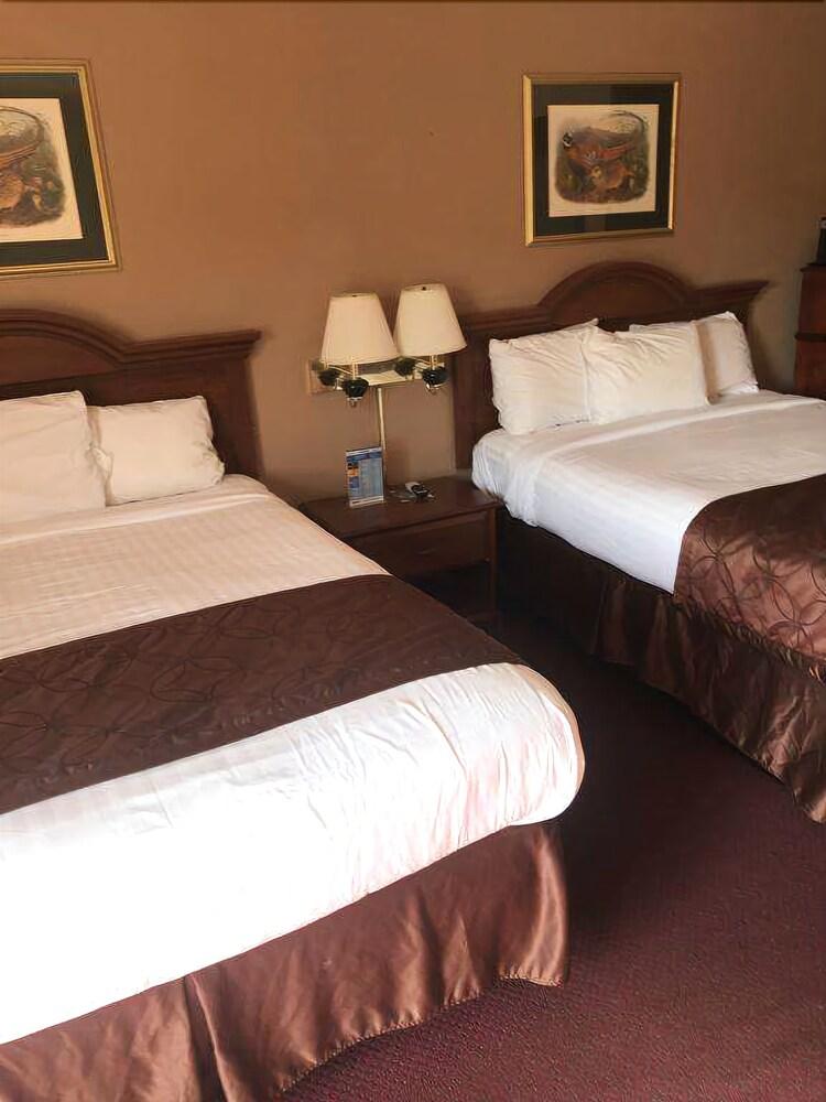 Shamrock Motel - photo 8