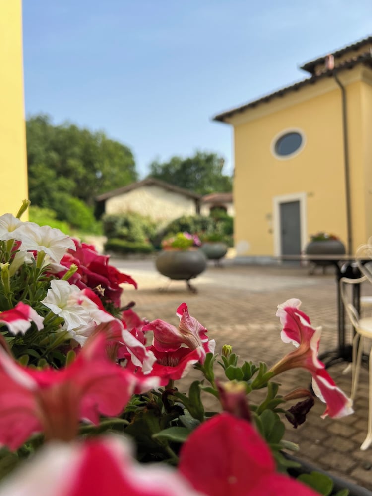 Casale Milleseicento — Gavi — photo 3