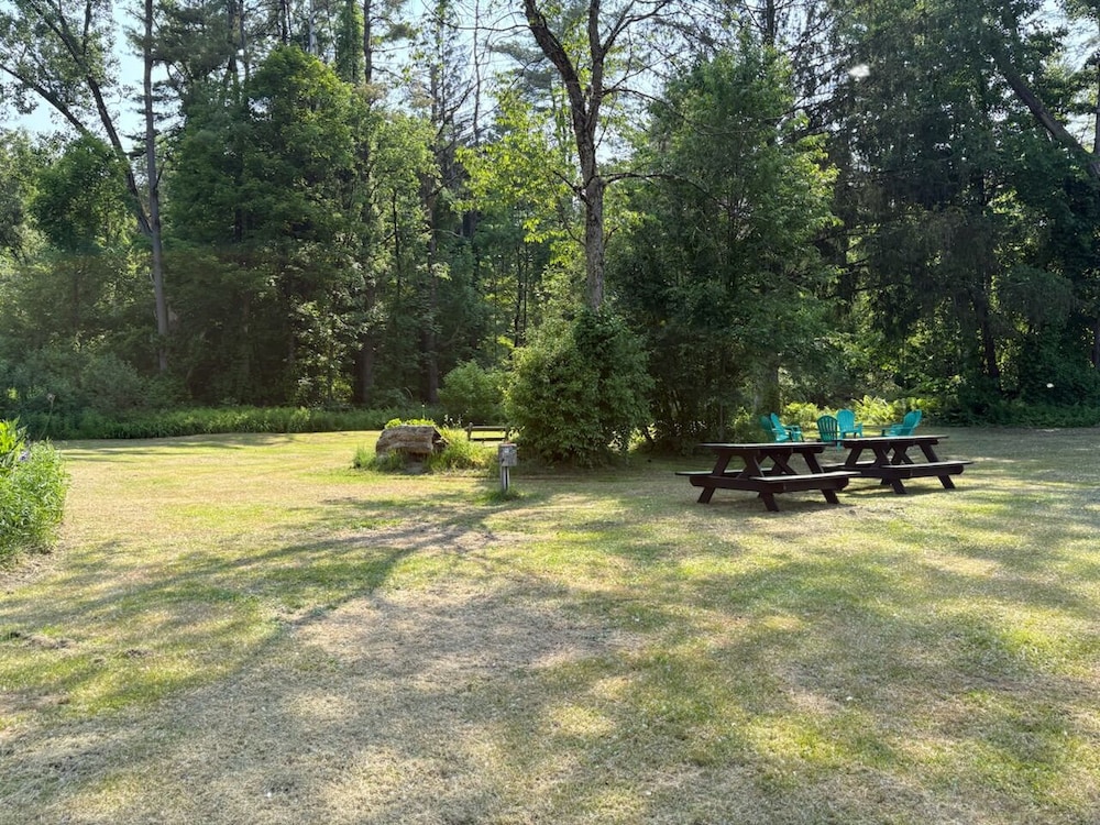 Saratoga Garden Motel - photo 18