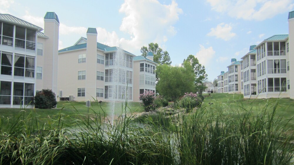 Brookside Walk In Meadow Brook Resort - photo 38