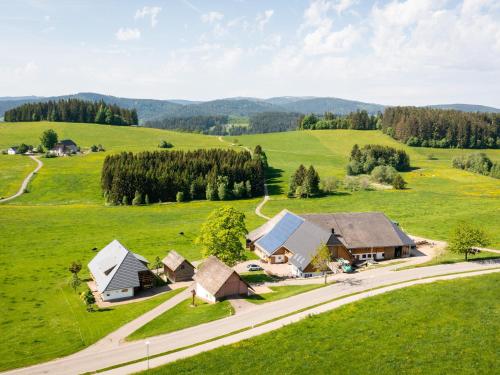 Haldenmichelhof Ferienwohnungen — hotel in Breitnau