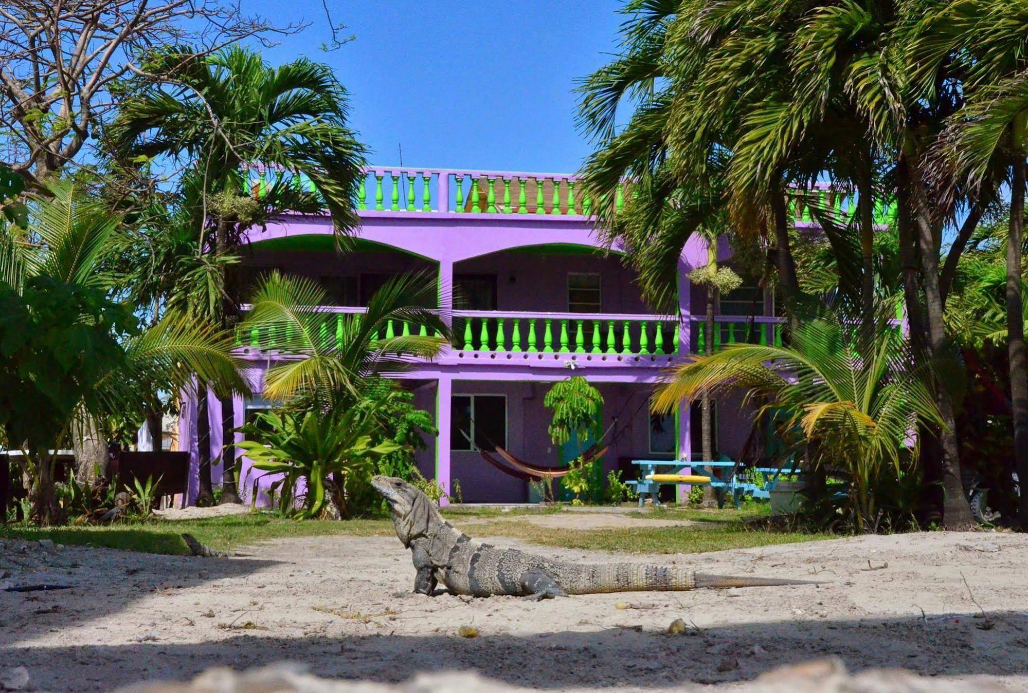 Hostel La Vista