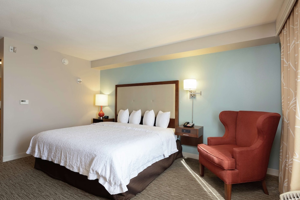 Hampton Inn & Suites Austin Airport - photo 11