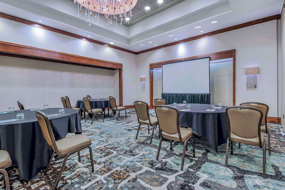 Embassy Suites Houston Downtown - photo 42