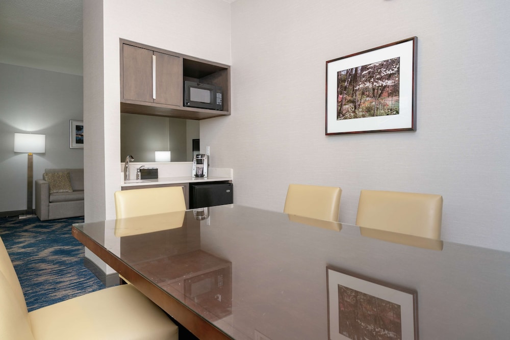 Embassy Suites by Hilton Alexandria Old Town - photo 20