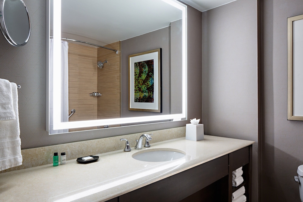 Sheraton Dallas Hotel - photo 13