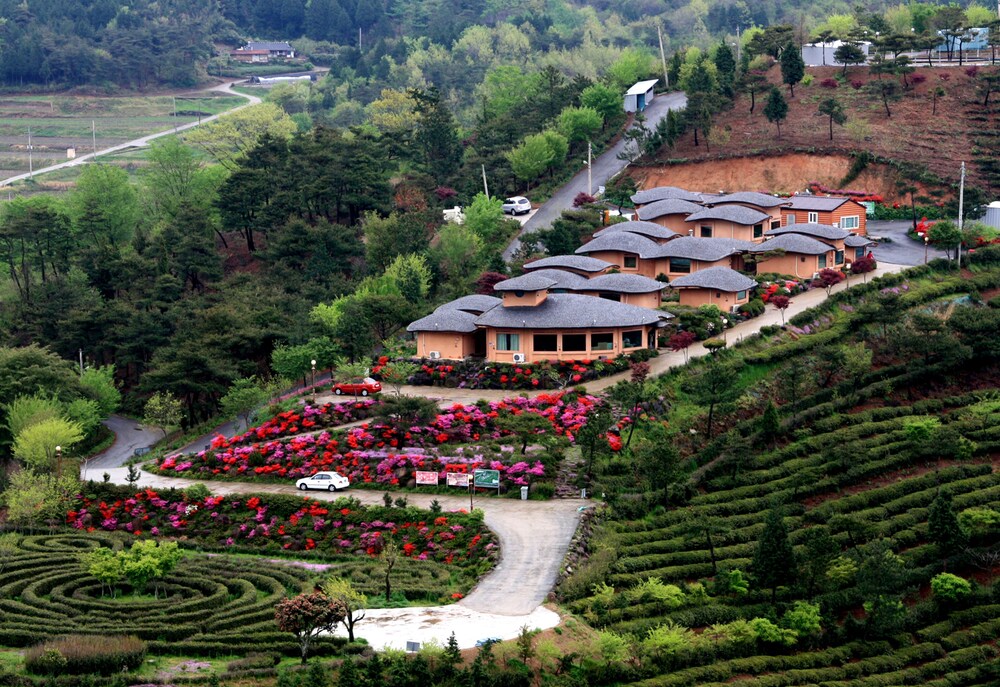 Golmangtae in Boseong, South Korea