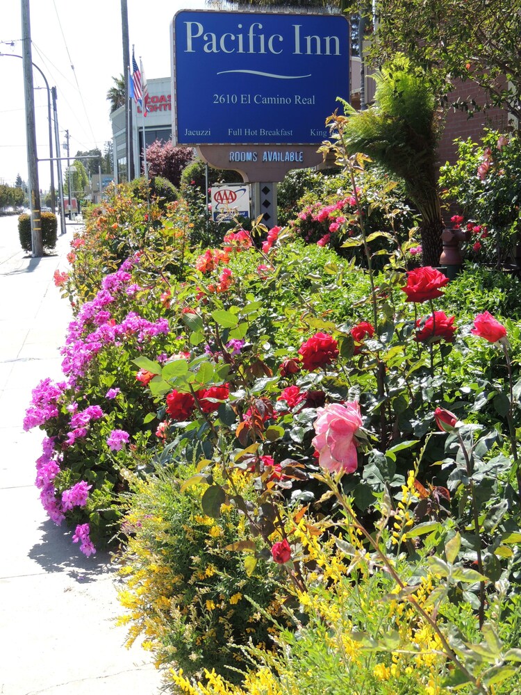Pacific Inn of Redwood City - photo 65