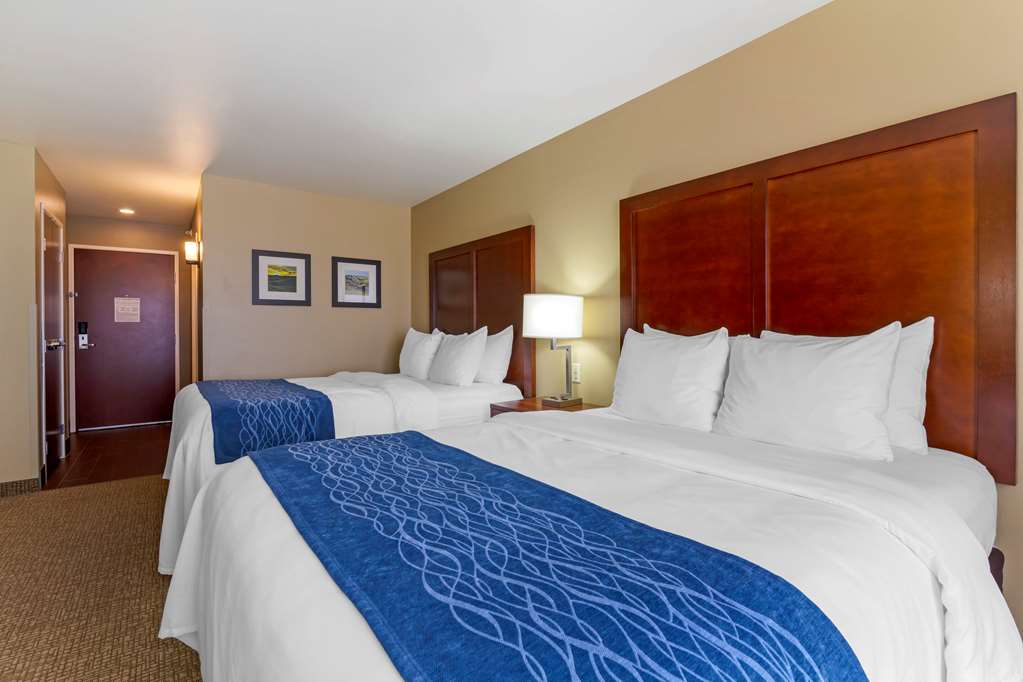 Comfort Inn & Suites Mandan Bismarck - photo 15